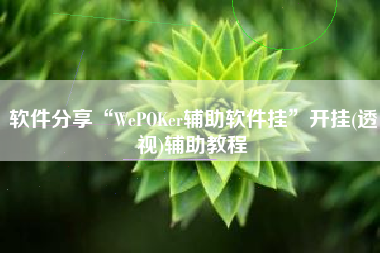 软件分享“WePOKer辅助软件挂”开挂(透视)辅助教程 软件分享“WePOKer辅助软件挂”开挂(透视)辅助教程