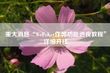重大消息“WePoKer作弊功能透视教程”详细开挂