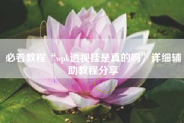 必看教程“wpk透视挂是真的吗”详细辅助教程分享
