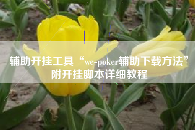 辅助开挂工具“we-poker辅助下载方法”附开挂脚本详细教程