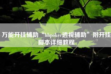 万能开挂辅助“hhpoker透视辅助”附开挂脚本详细教程 万能开挂辅助“hhpoker透视辅助”附开挂脚本详细教程