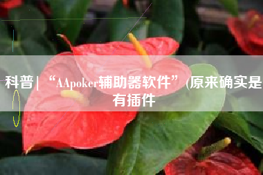 科普|“AApoker辅助器软件”(原来确实是有插件