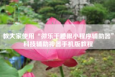 教大家使用“微乐干瞪眼小程序辅助器”科技辅助神器手机版教程