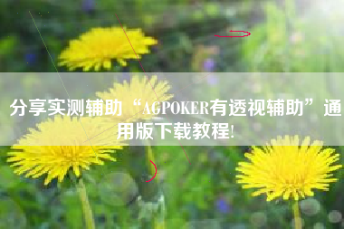 分享实测辅助“AGPOKER有透视辅助”通用版下载教程! 分享实测辅助“AGPOKER有透视辅助”通用版下载教程!