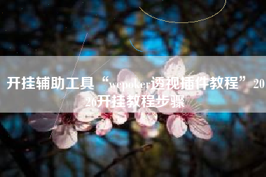 开挂辅助工具“wepoker透视插件教程”2026开挂教程步骤 开挂辅助工具“wepoker透视插件教程”2026开挂教程步骤