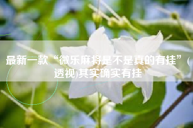 最新一款“微乐麻将是不是真的有挂”(透视)其实确实有挂