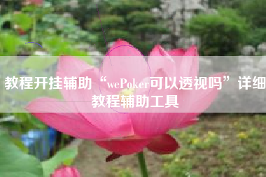 教程开挂辅助“wePoker可以透视吗”详细教程辅助工具