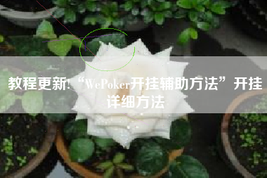 教程更新!“WePoker开挂辅助方法”开挂详细方法