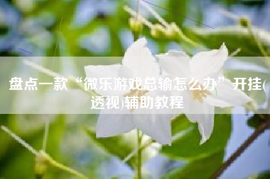 盘点一款“微乐游戏总输怎么办”开挂(透视)辅助教程