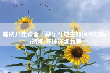 辅助开挂神器“微乐斗地主如何拿好牌”(透视)开挂详细教程