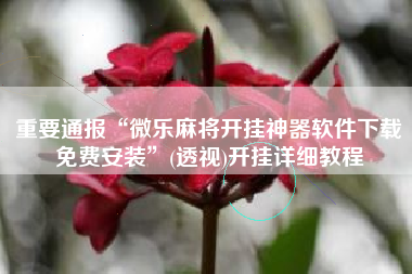 重要通报“微乐麻将开挂神器软件下载免费安装”(透视)开挂详细教程