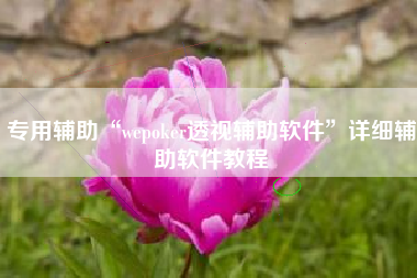 专用辅助“wepoker透视辅助软件”详细辅助软件教程