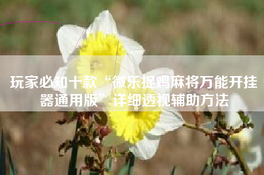 玩家必知十款“微乐捉鸡麻将万能开挂器通用版	”详细透视辅助方法