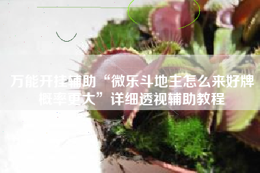 万能开挂辅助“微乐斗地主怎么来好牌概率更大”详细透视辅助教程