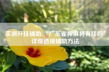 实测开挂辅助:“广东雀神麻将有挂吗”详细透视辅助方法