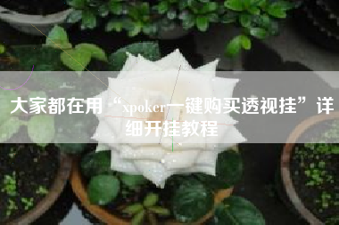 大家都在用“xpoker一键购买透视挂	”详细开挂教程