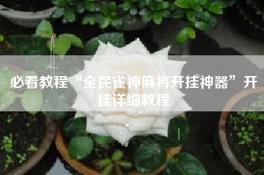 必看教程“全民雀神麻将开挂神器”开挂详细教程