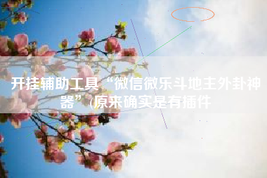 开挂辅助工具“微信微乐斗地主外卦神器”(原来确实是有插件