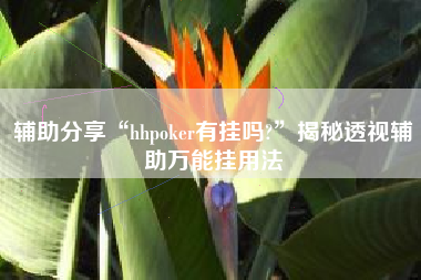 辅助分享“hhpoker有挂吗?”揭秘透视辅助万能挂用法