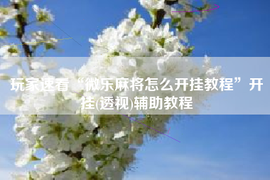 玩家速看“微乐麻将怎么开挂教程	”开挂(透视)辅助教程