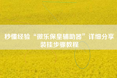 秒懂经验“微乐保皇辅助器	”详细分享装挂步骤教程