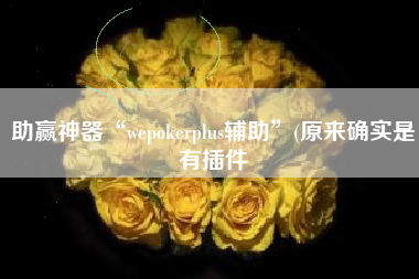 助赢神器“wepokerplus辅助	”(原来确实是有插件