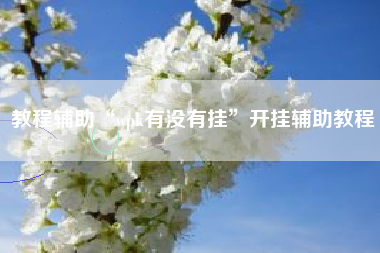 教程辅助“wpk有没有挂”开挂辅助教程 教程辅助“wpk有没有挂”开挂辅助教程