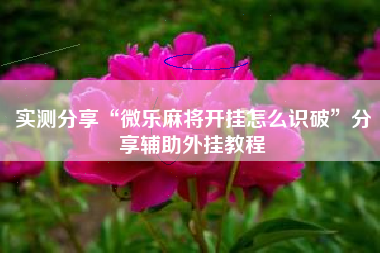 实测分享“微乐麻将开挂怎么识破”分享辅助外挂教程