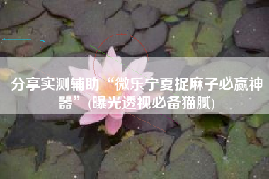 分享实测辅助“微乐宁夏捉麻子必赢神器	”(曝光透视必备猫腻)