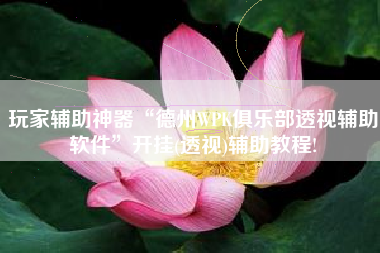 玩家辅助神器“德州WPK俱乐部透视辅助软件”开挂(透视)辅助教程!