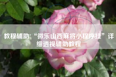 教程辅助!“微乐山西麻将小程序挂”详细透视辅助教程