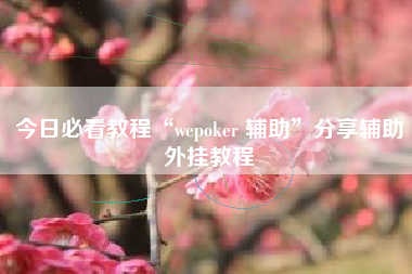 今日必看教程“wepoker 辅助	”分享辅助外挂教程