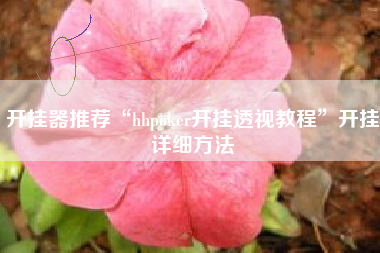 开挂器推荐“hhpoker开挂透视教程	”开挂详细方法