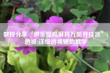 教程分享“微乐捉鸡麻将万能开挂器”(透视)详细透视辅助教学