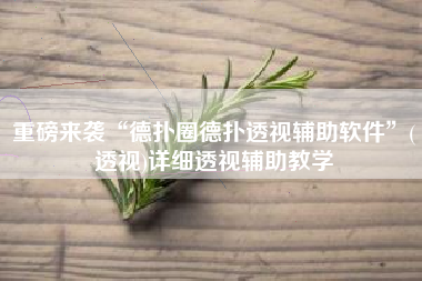 重磅来袭“德扑圈德扑透视辅助软件	”(透视)详细透视辅助教学