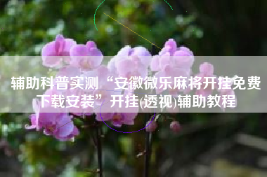 辅助科普实测“安徽微乐麻将开挂免费下载安装”开挂(透视)辅助教程