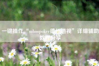 一键操作“sohoopoker德州透视”详细辅助教程分享