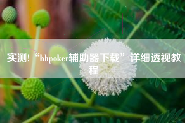 实测!“hhpoker辅助器下载”详细透视教程