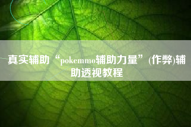 真实辅助“pokemmo辅助力量	”(作弊)辅助透视教程