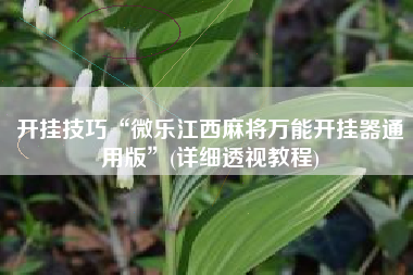 开挂技巧“微乐江西麻将万能开挂器通用版”(详细透视教程)