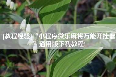 [教程经验]“小程序微乐麻将万能开挂器	”通用版下载教程!