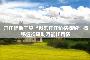 开挂辅助工具“微乐开挂价格揭秘	”揭秘透视辅助万能挂用法