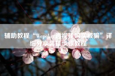 辅助教程“Wepoker透视挂购买被骗	”详细分享装挂步骤教程