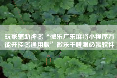 玩家辅助神器“微乐广东麻将小程序万能开挂器通用版”微乐干瞪眼必赢软件