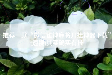 推荐一款“微信雀神麻将开挂神器下载”(透视)其实确实有挂