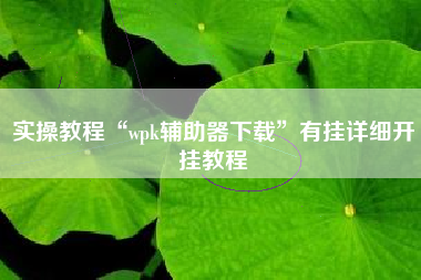 实操教程“wpk辅助器下载”有挂详细开挂教程