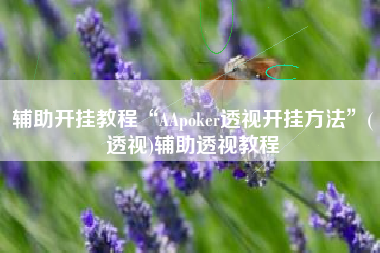辅助开挂教程“AApoker透视开挂方法”(透视)辅助透视教程
