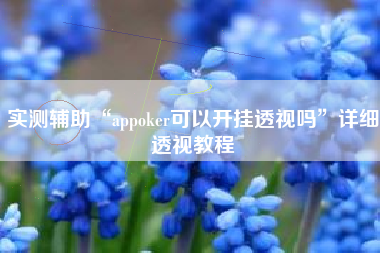 实测辅助“appoker可以开挂透视吗”详细透视教程