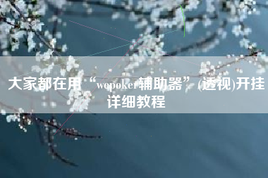 大家都在用“wepoker辅助器”(透视)开挂详细教程