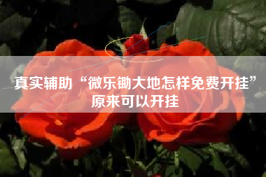 真实辅助“微乐锄大地怎样免费开挂	”原来可以开挂